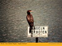 Angeln-Verboten1152